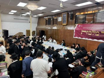 הגלריה השבועית מבית משיח: פרשת בא